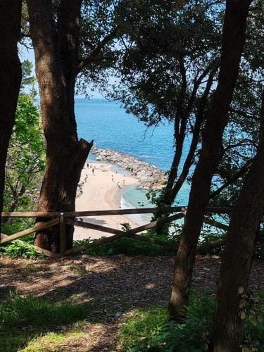 MARY FAMILY HOME Hotel in Marche