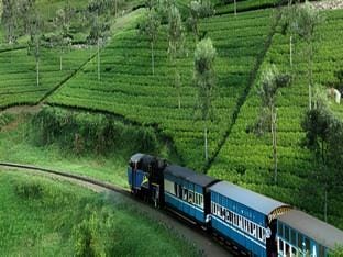 Sun Park Grand Hotel Hotel in Ooty