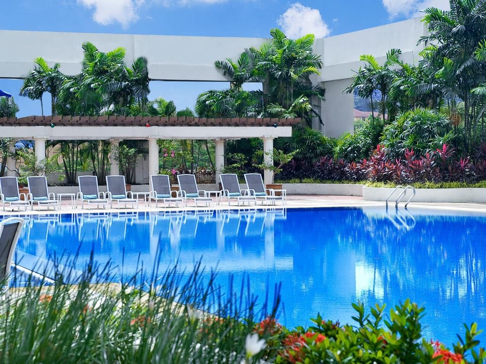 Swimming pool [outdoor]