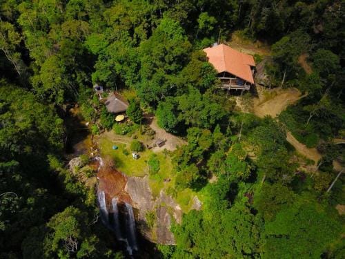 Chales Bamboo Jungle Lodge in State of Rio de Janeiro