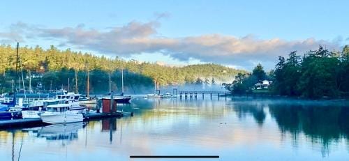 Madrona Suite Hotel in Deer Harbor