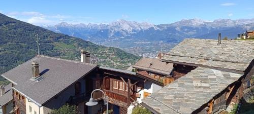 La Reine-des-pres Hotel in Canton of Valais