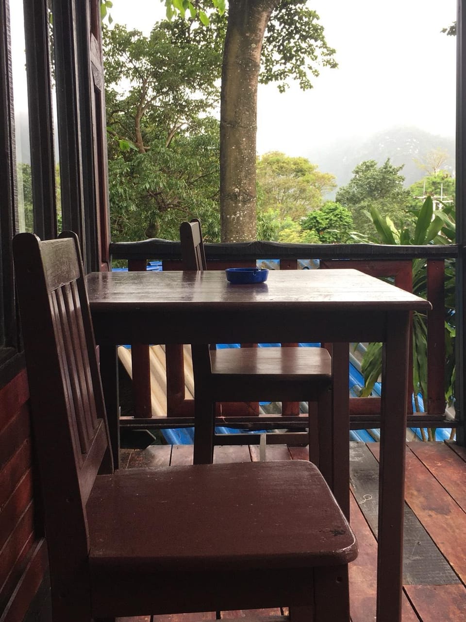View