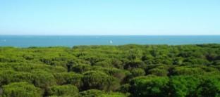 Hotel President Hotel in Cervia