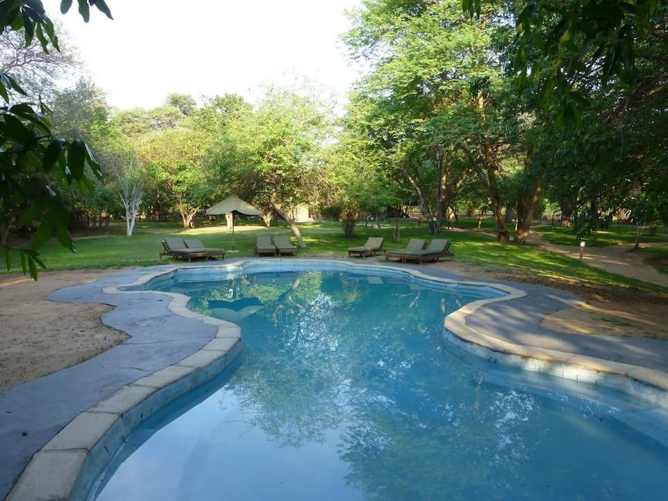 Elephant Valley Lodge Hotel in Africa