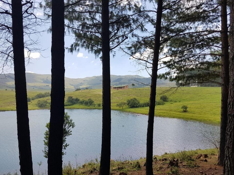 Luiperdkloof Trout Lodge Hotel in KwaZulu-Natal