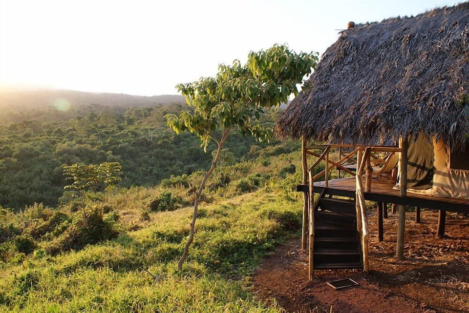 Crater Forest Tented Camp Hotel in Tanzania