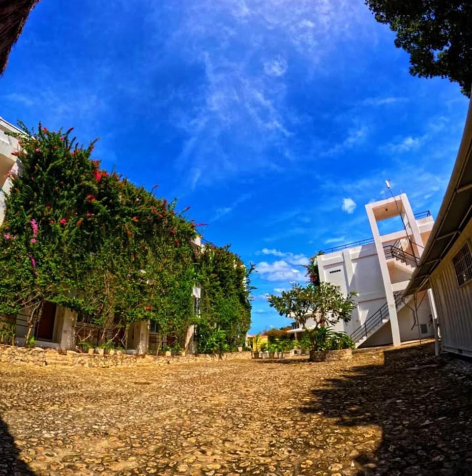 Divers Lodge Plumeria Lodge in Central Visayas