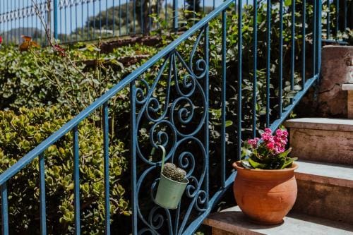 Lemon Tree Rooms Hotel in Barano d'Ischia