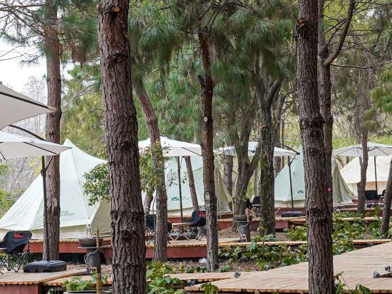 Elephant camping Hotel in Hangzhou
