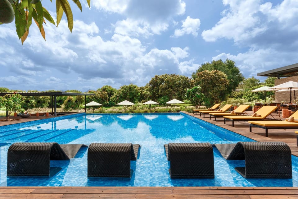 Swimming pool [outdoor]