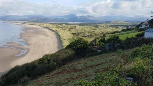 Dolafon Hotel in Wales