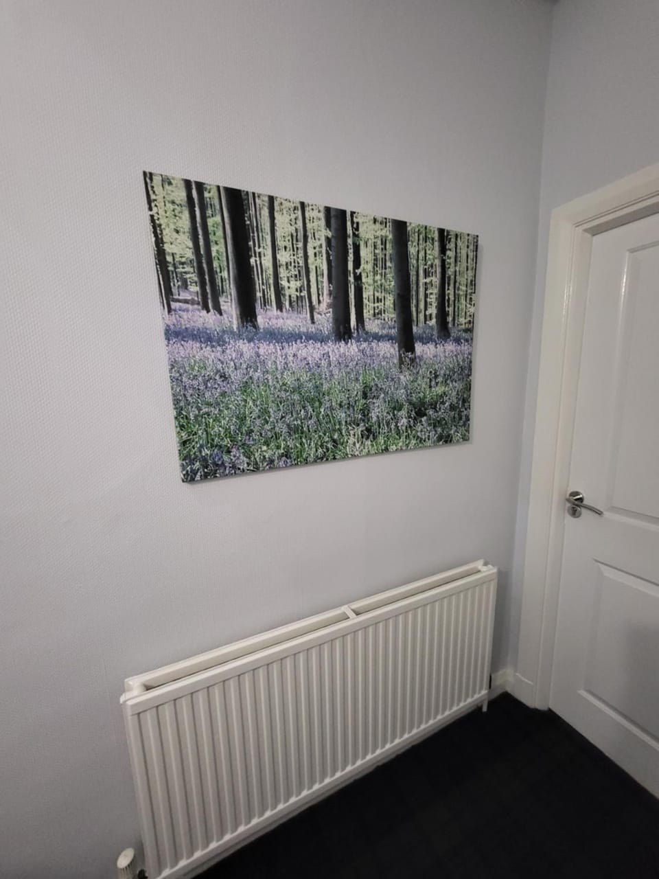The Bluebell Guest House Hotel in Bridlington
