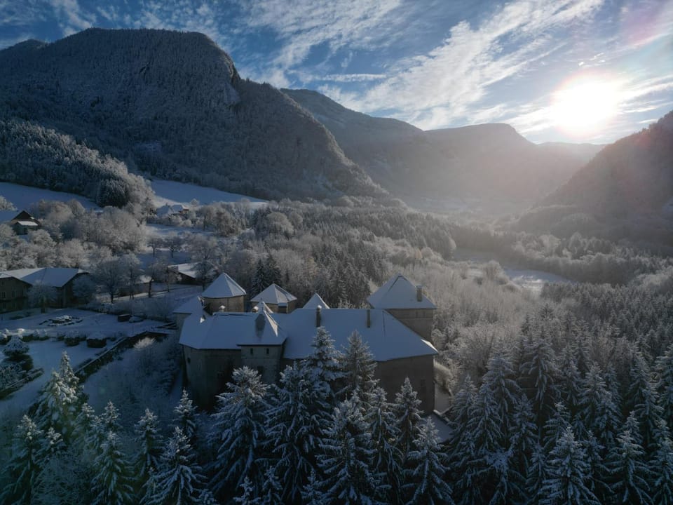 Chateau de Thorens Hotel in Haute-Savoie