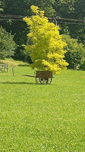 La Petite Maison Dans La Prairie Hotel in Centre-Val de Loire