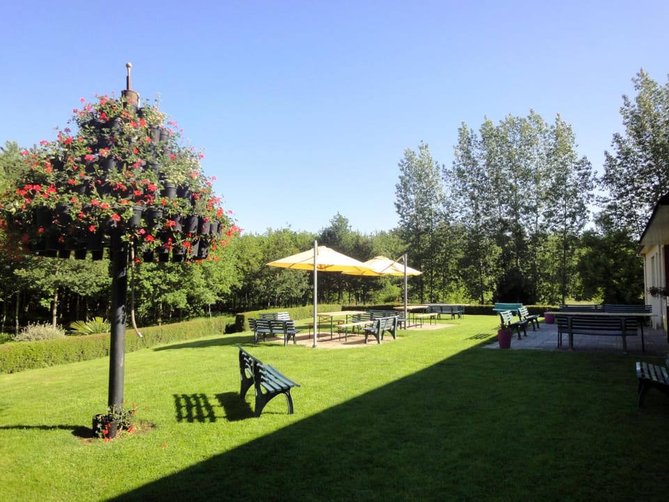 Hotel Restaurant La Grenouillere Hotel in Brittany