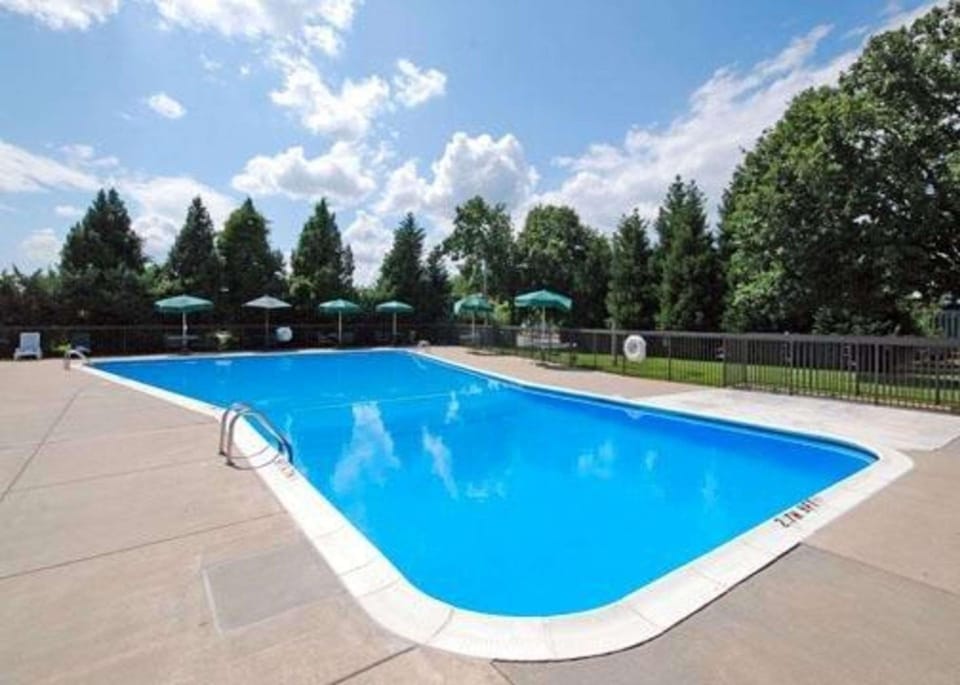 Swimming pool [outdoor]