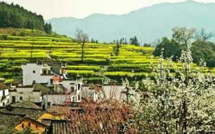 Wuyuan Jiangling View Inn Hotel in Zhejiang