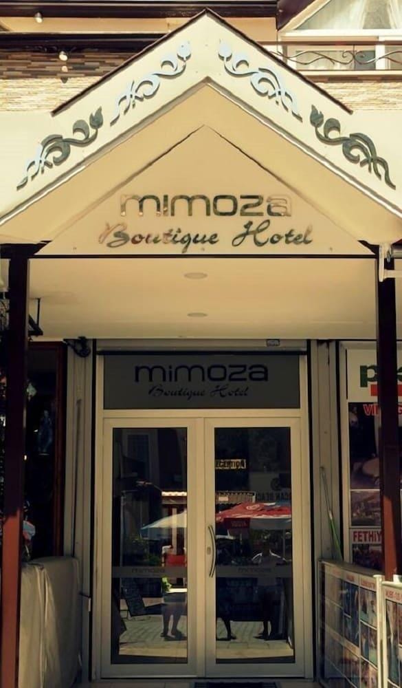 Mimoza Hotel Hotel in Ölüdeniz