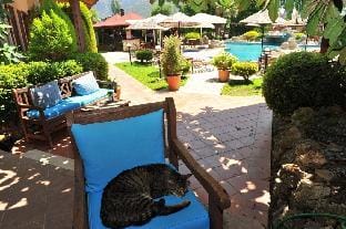 Grenadine Lodge Hotel in Dalyan