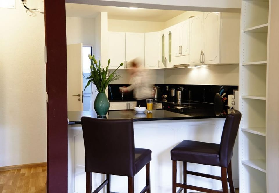 Residence Apartments by Hotel du Commerce Hotel in Basel