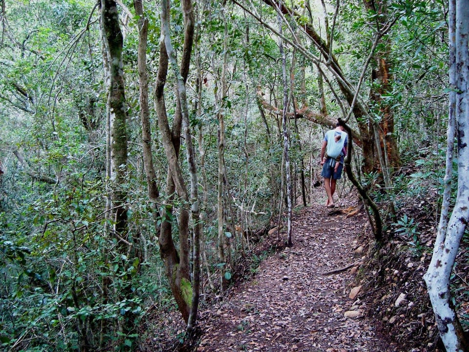Woodlands Self Catering, Knysna Hotel in Eastern Cape