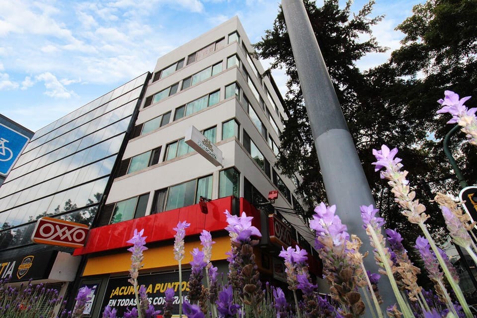 Casa Romita Hotel in Mexico City