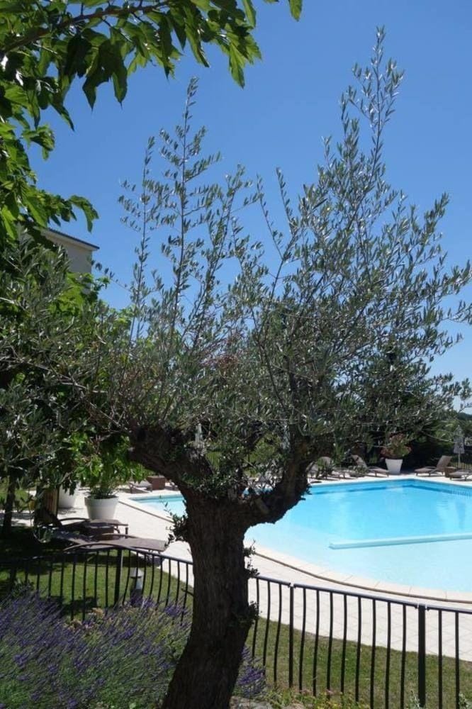 Domaine de Saint Clair Hotel in Auvergne-Rhône-Alpes