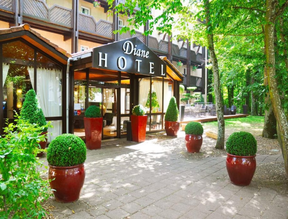 Hotel Diane Hotel in Rhineland-Palatinate