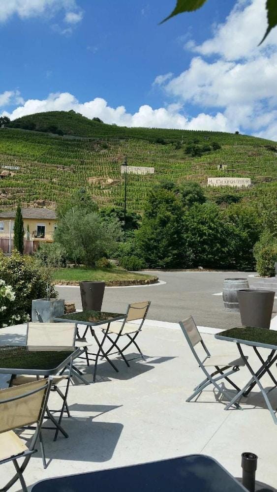 Hôtel Le Domaine des Vignes Hotel in Auvergne-Rhône-Alpes