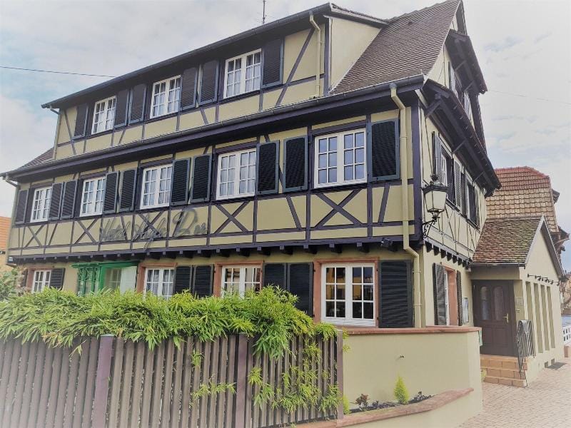 Hôtel Aigle d Or Hotel in Ortenau