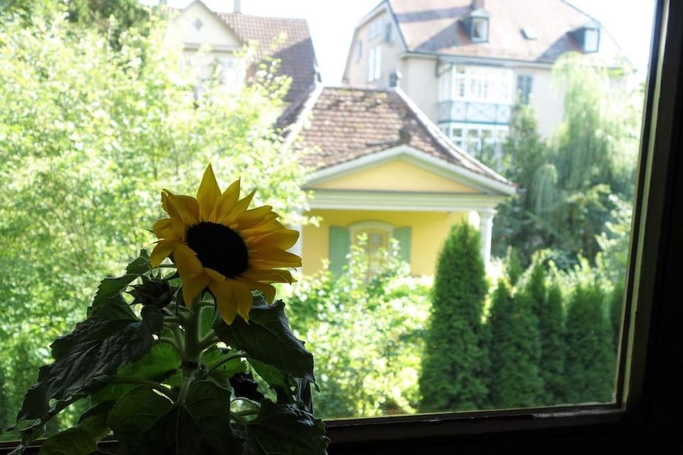 Apartment König Hotel in Tübingen