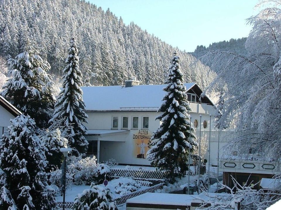 Altes Doktorhaus Hotel in Willingen