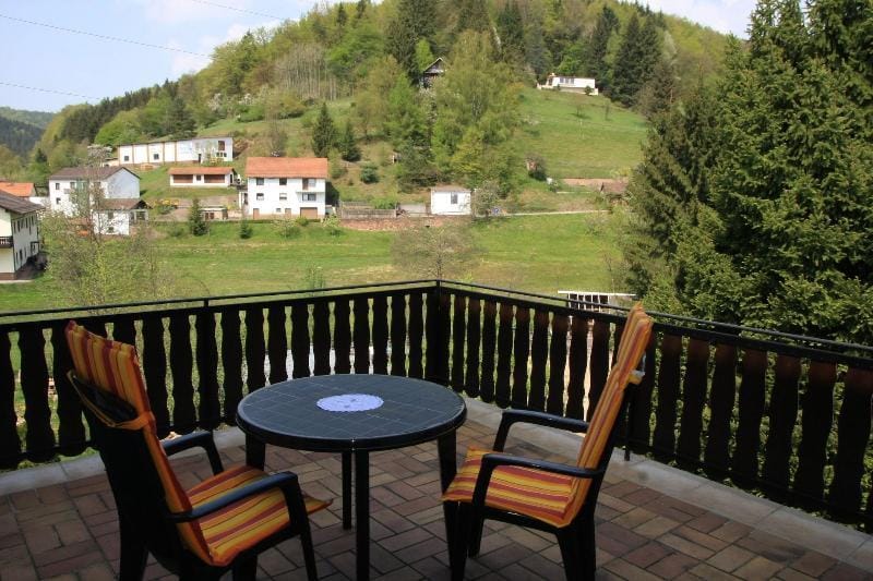 Gasthof Pension Zur Traube Hotel in Hesse