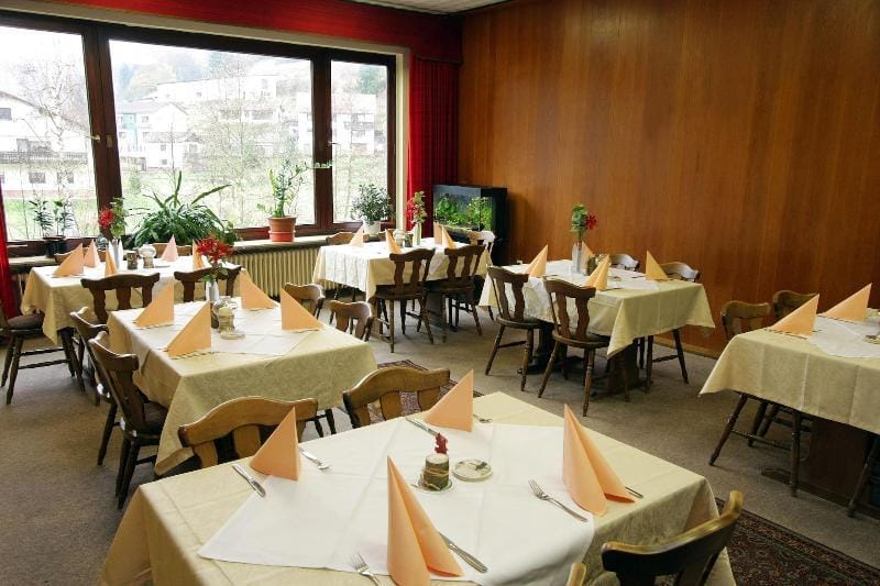 Gasthof Pension Zur Traube Hotel in Hesse