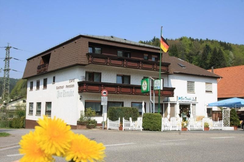 Gasthof Pension Zur Traube Hotel in Hesse