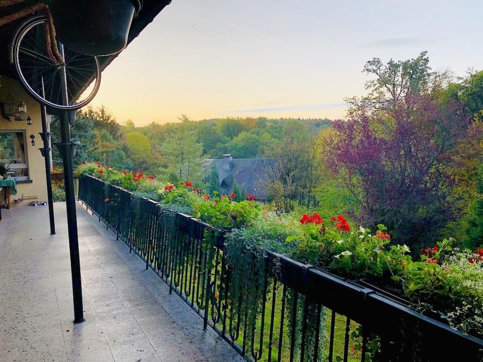 Gasthof Berghof Hotel in Aschaffenburg