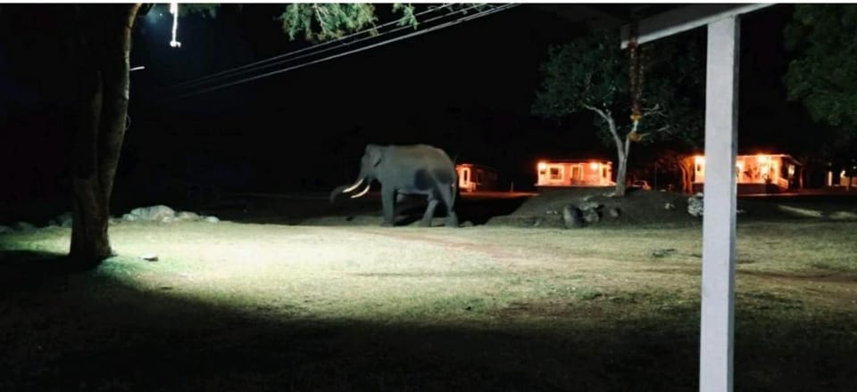 The Wild Fo'rest Resorts Resort in Tamil Nadu
