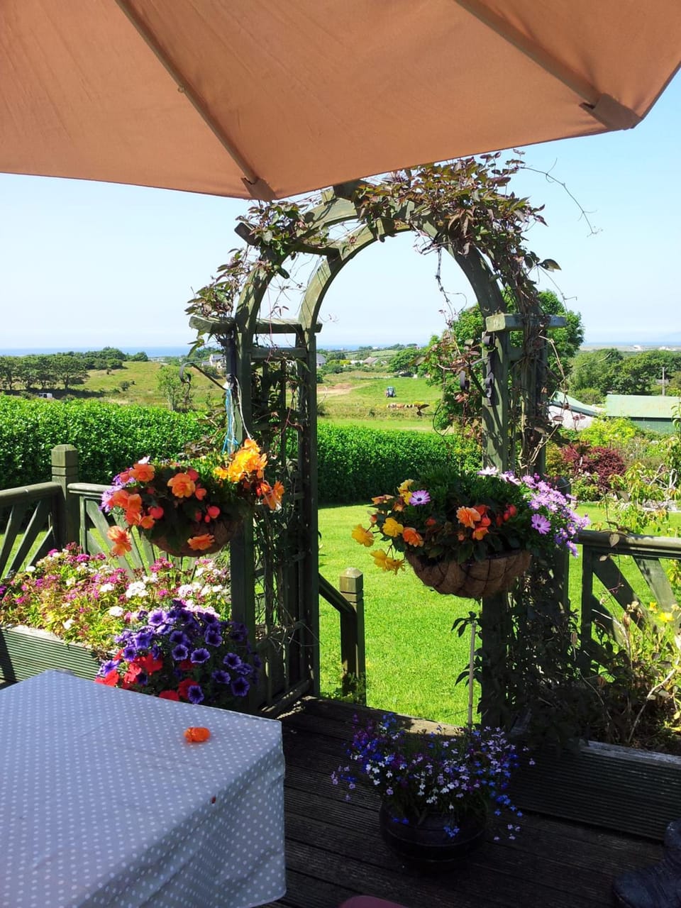 Mount Edward Lodge Hotel in County Sligo