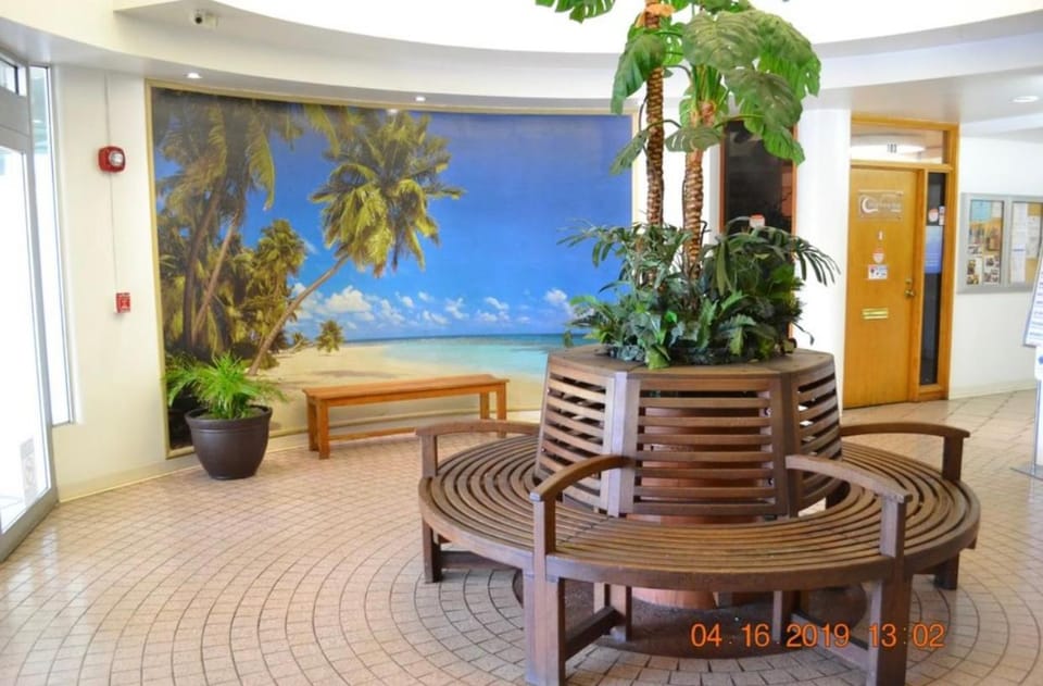 Relaxing Ocean View Boutique Condo - 20F Apartment hotel in McCully-Moiliili