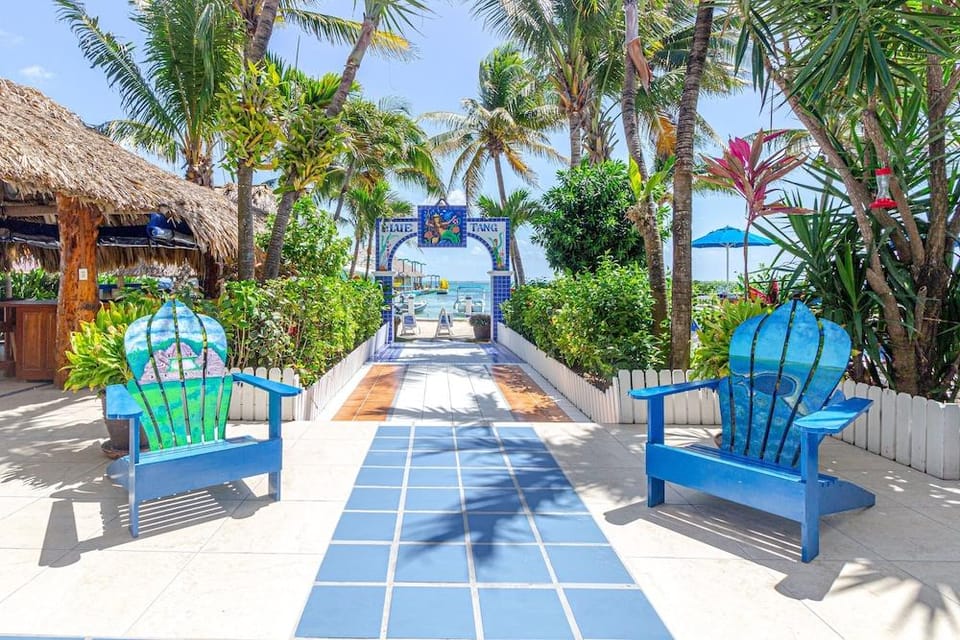 Blue Tang Inn Hotel in San Pedro