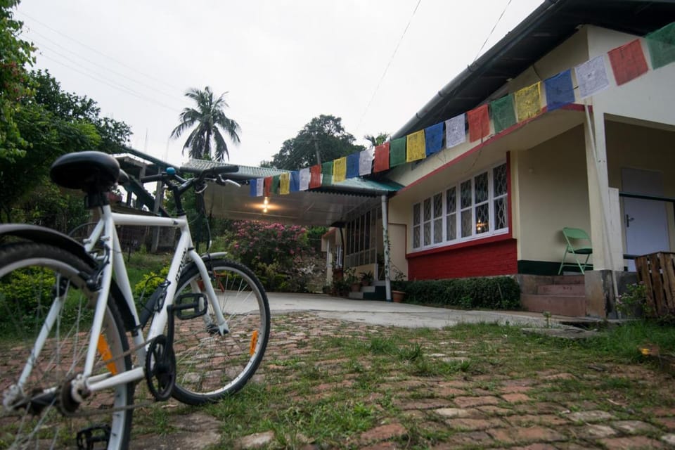Gibbon Backpackers Hostel Hostel in India