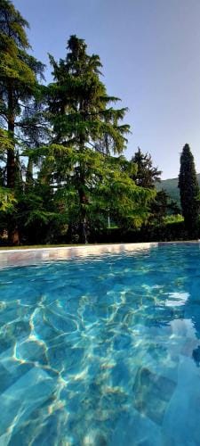 Villa Carrara Salvadori Hotel in Veneto
