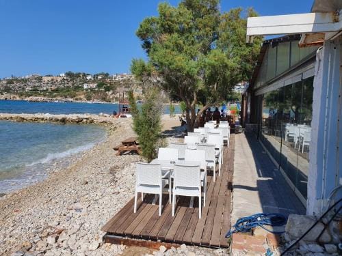 old zorbas place Hotel in Crete