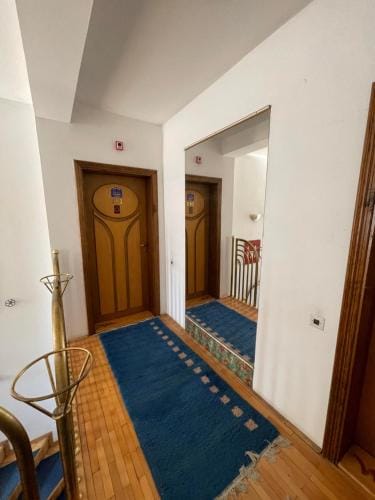 Vila Grinka M Hotel in Serbia