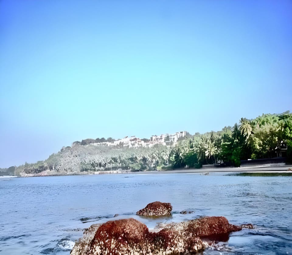 Nirvana Serenity Hotel in Candolim
