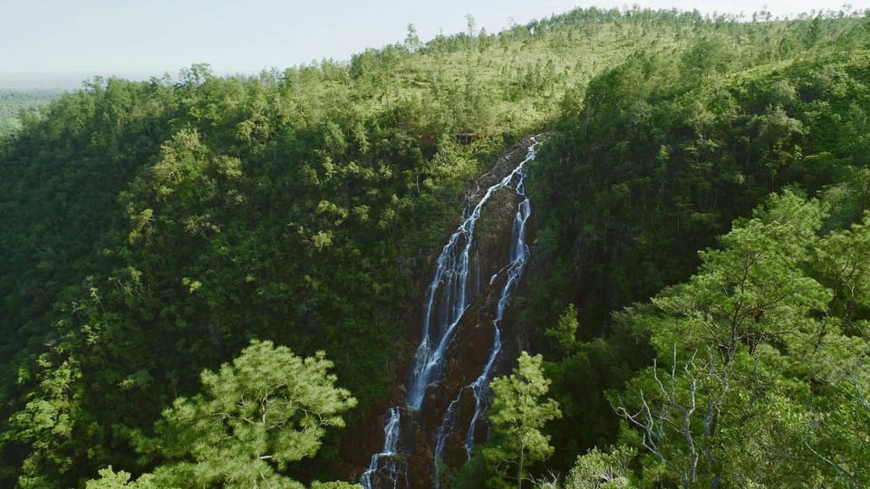 Surrounding environment