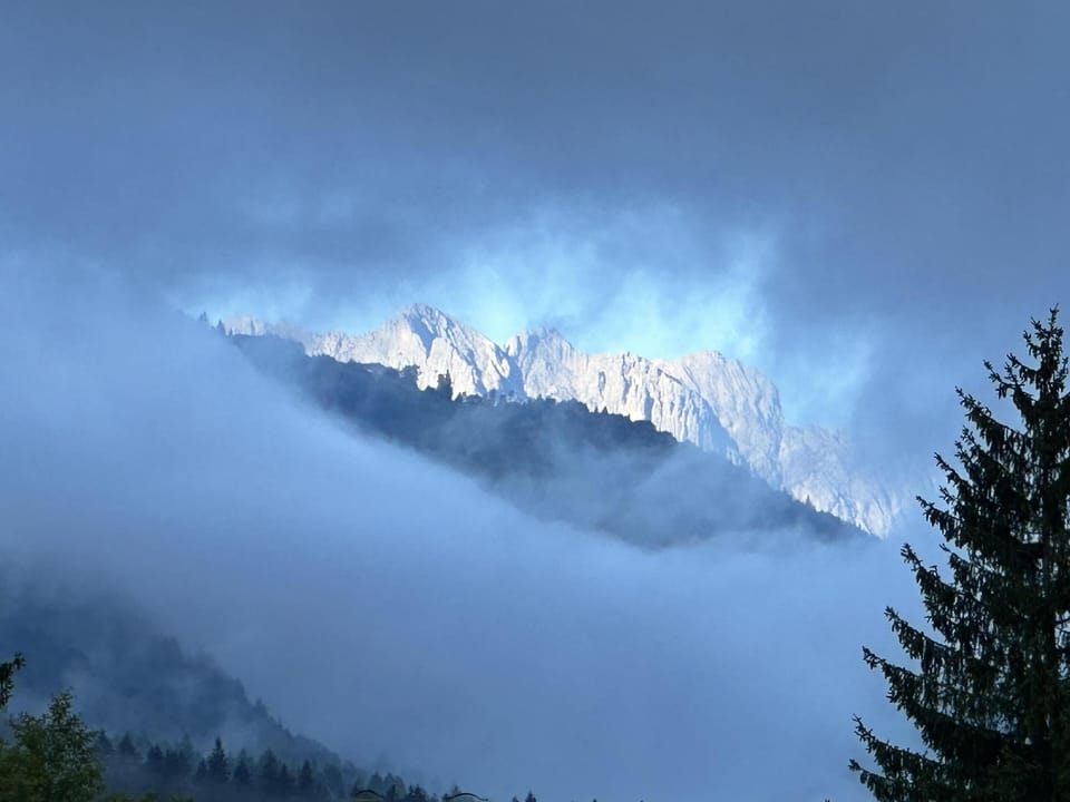 Gästehaus Wiesegg Hotel in Salzburgerland