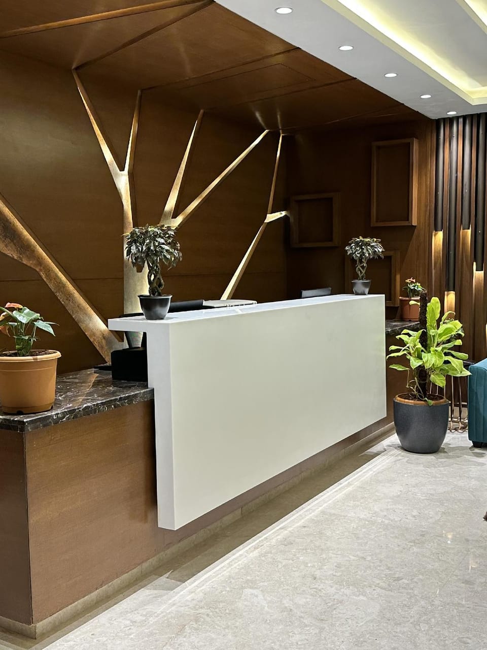 ROYAL ACE LUXUR Hotel in Bengaluru