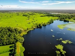 Bird View Resort Anawilundava Hotel in Sri Lanka